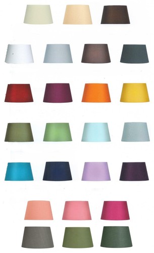 Clip 6in wall light - clip, (14cm)
